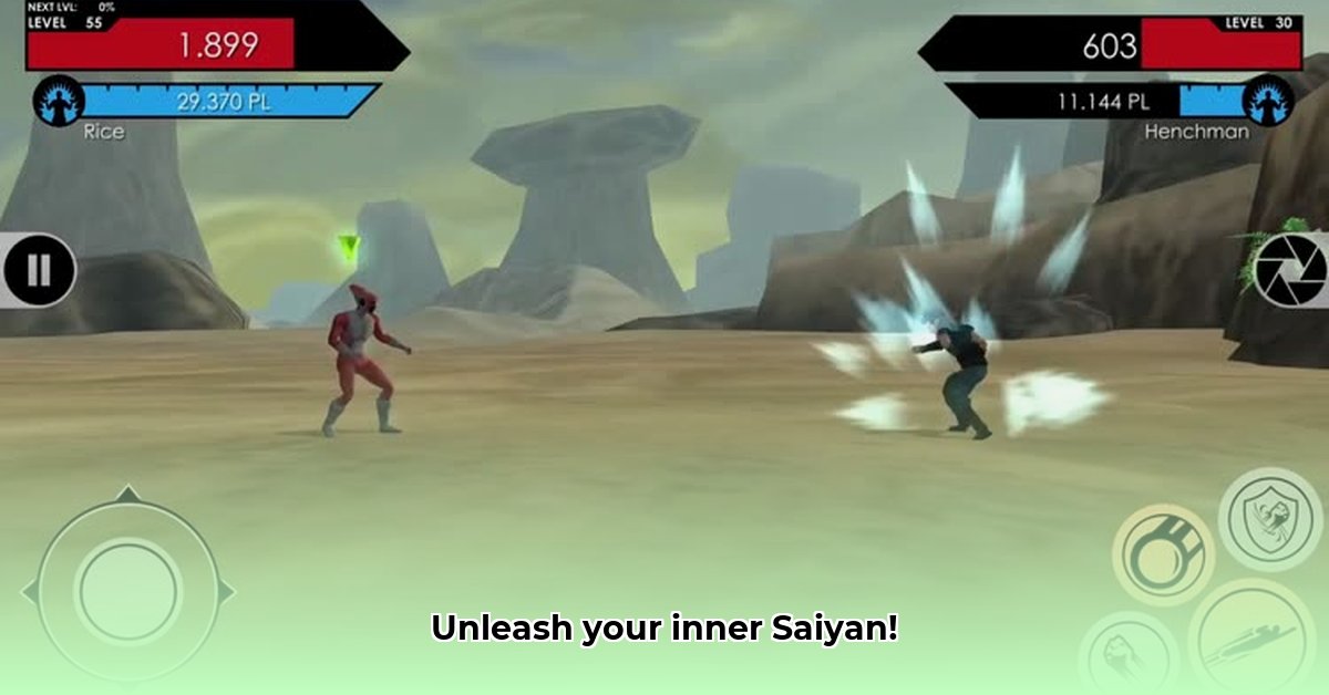 power-level-warrior-game